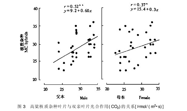 D3|(zh)sN~ƬcpH~Ƭ(CO2)P(gun)ϵ